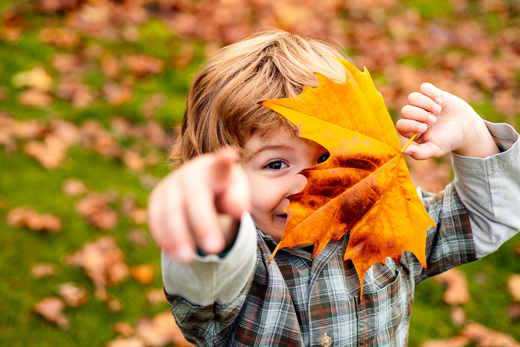Jesień, dziecko bawi się liśćmi