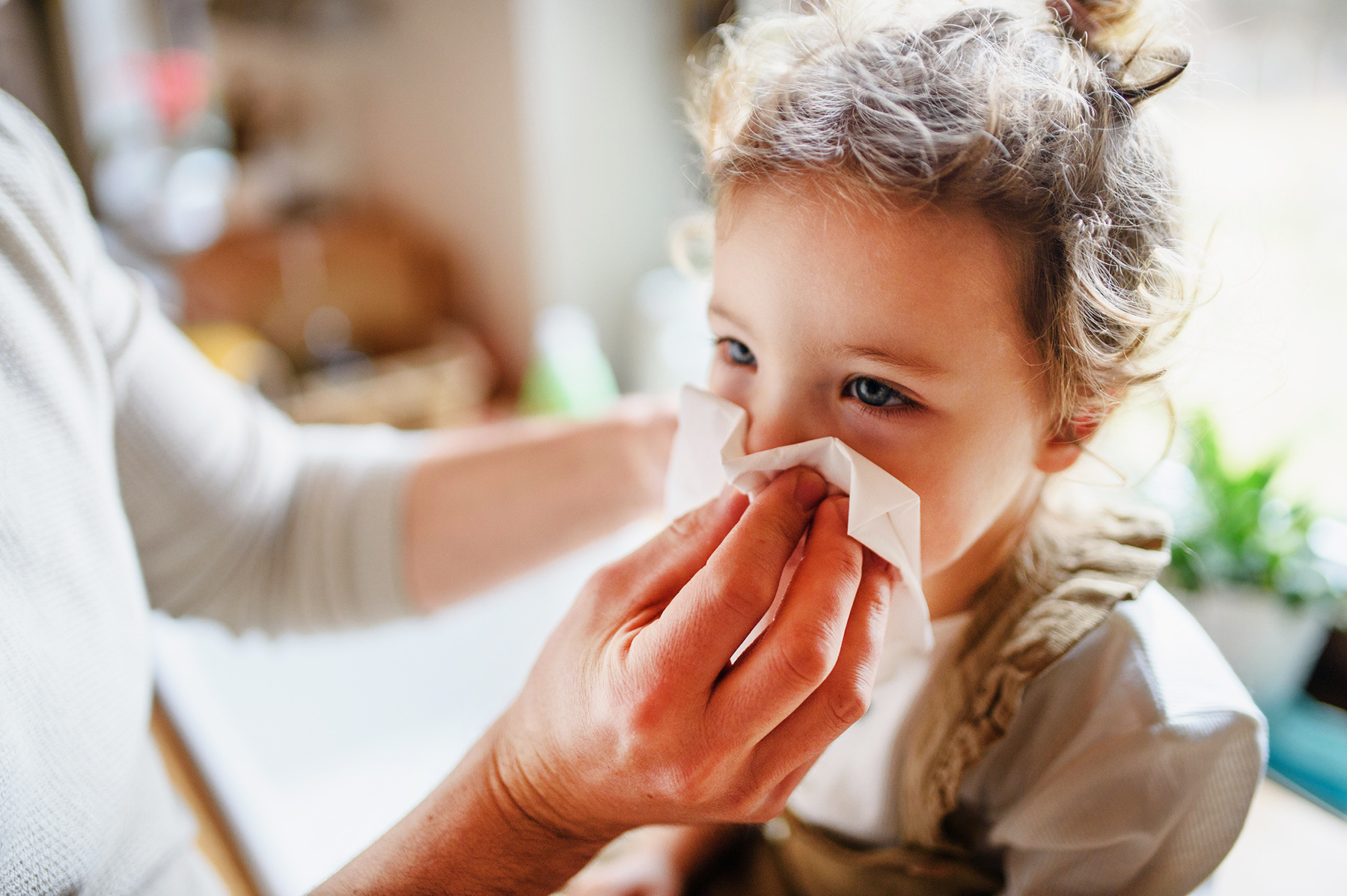 Gdy ciągle leje się z nosa – przeziębienie czy alergia?