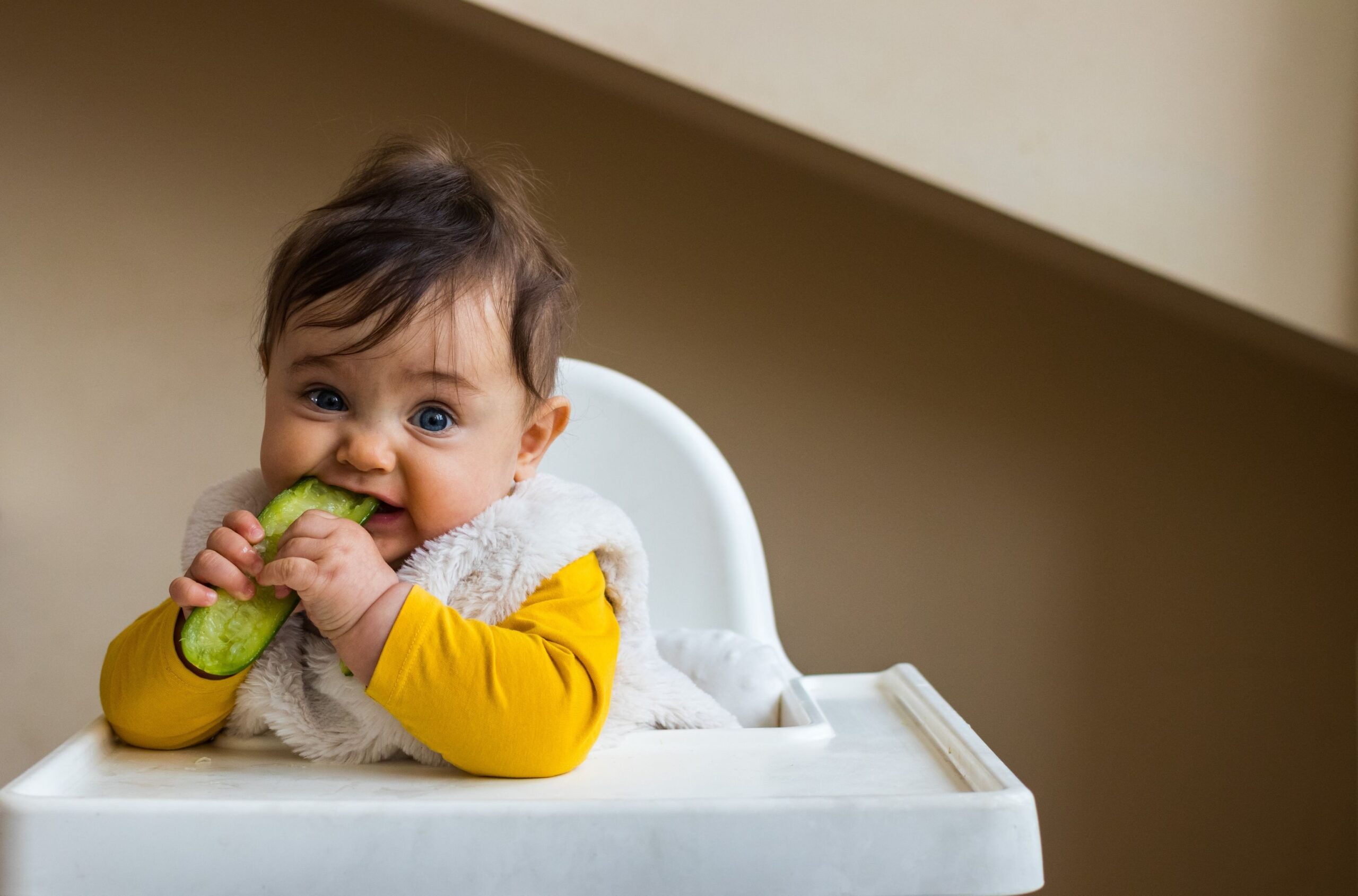 Dieta wegetariańska dla dzieci - czy to dobry pomysł?