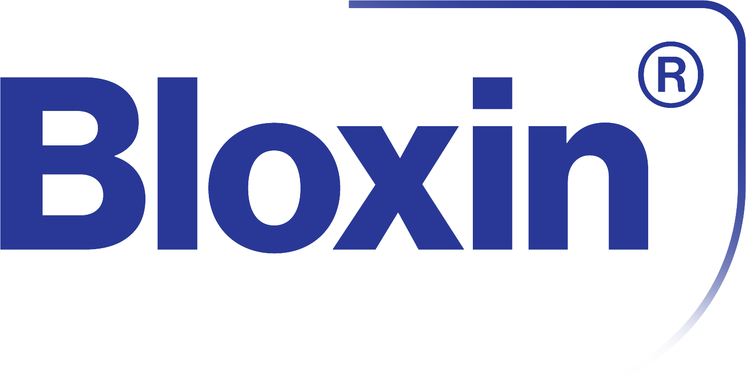 BLOXIN_logo RGB kopia
