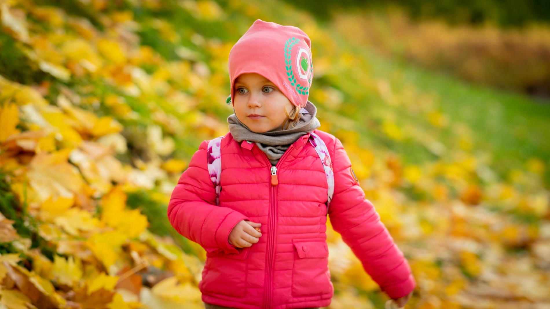 Dziewczynka na tle jesiennych liści